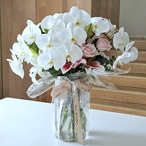 HLP016S 白蝴蝶蘭花束